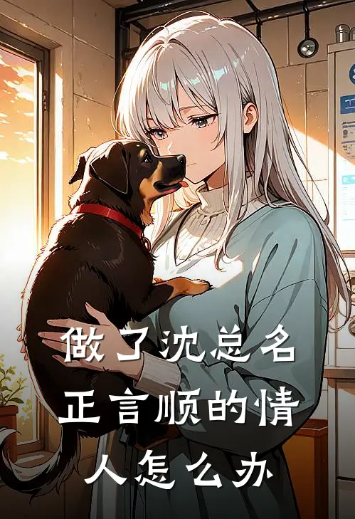 做了沈总名正言顺的情人怎么办